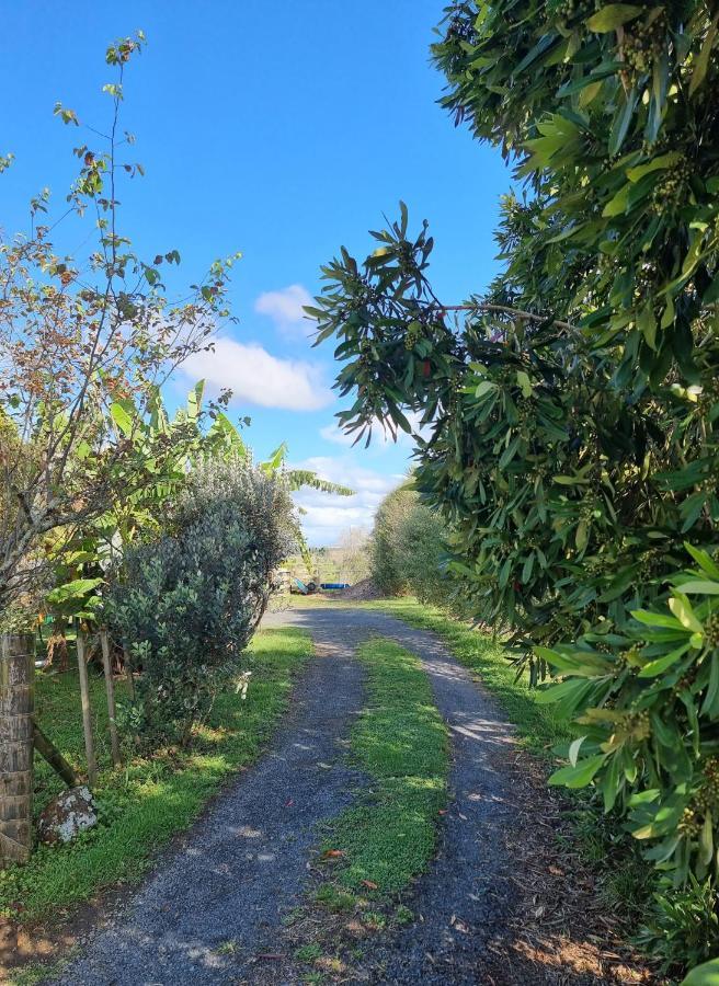 Bookabarn Villa Kerikeri Exteriör bild